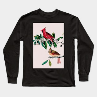 Bird of America  Bird, bird lover, america, beautiful  Public domain painting by John James Audubon Long Sleeve T-Shirt